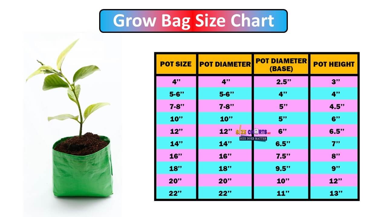 Grow Bag Size Chart