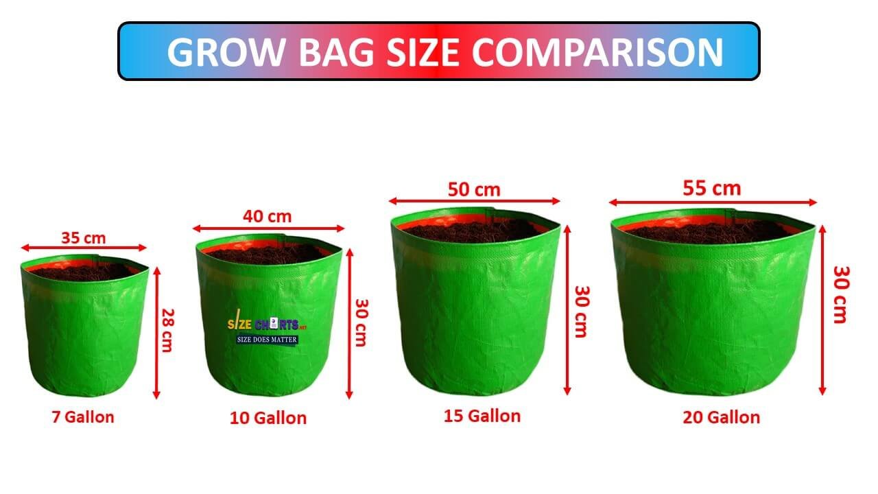 Grow Bag comparison