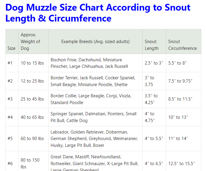 Dog Muzzle Size Chart According to Snout Length & Circumference
