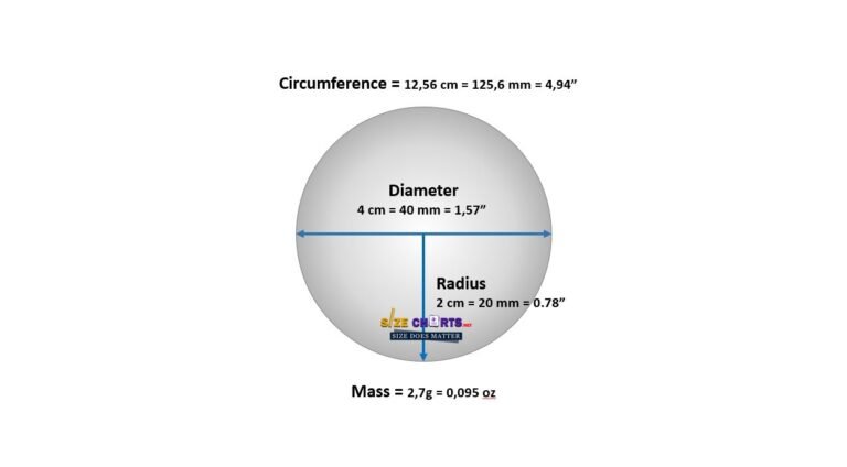 Table Tennis Ball Measurements net (1)