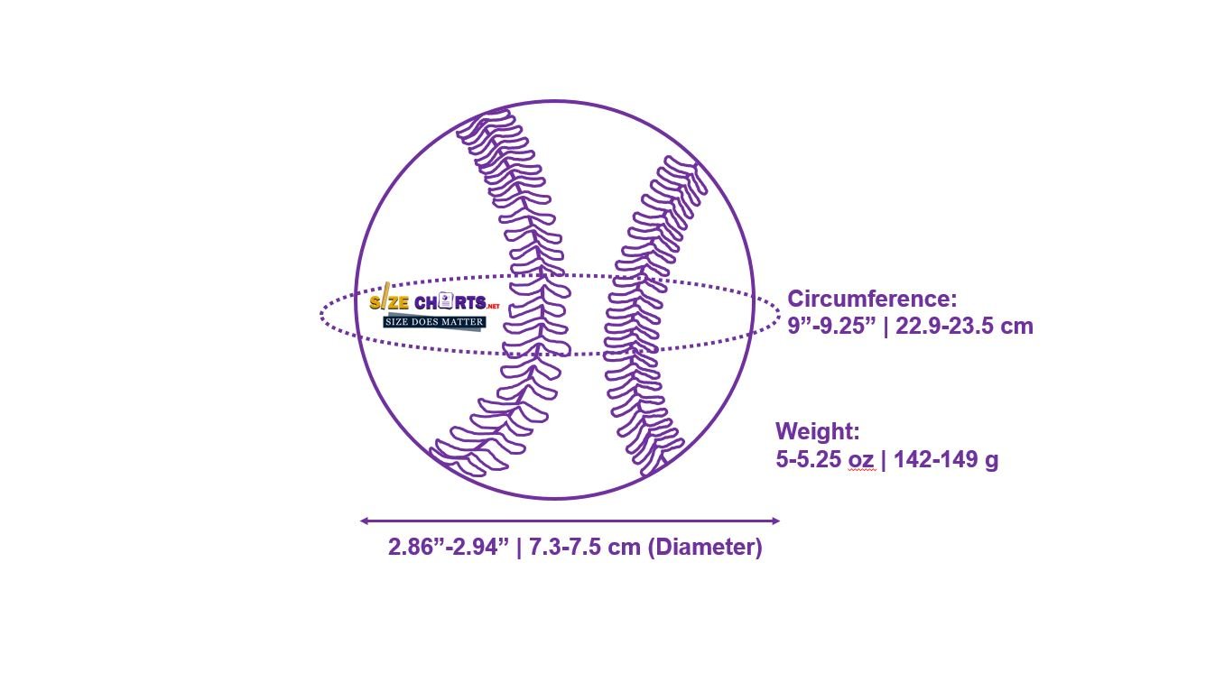 Baseball Size, Dimension & Weight net