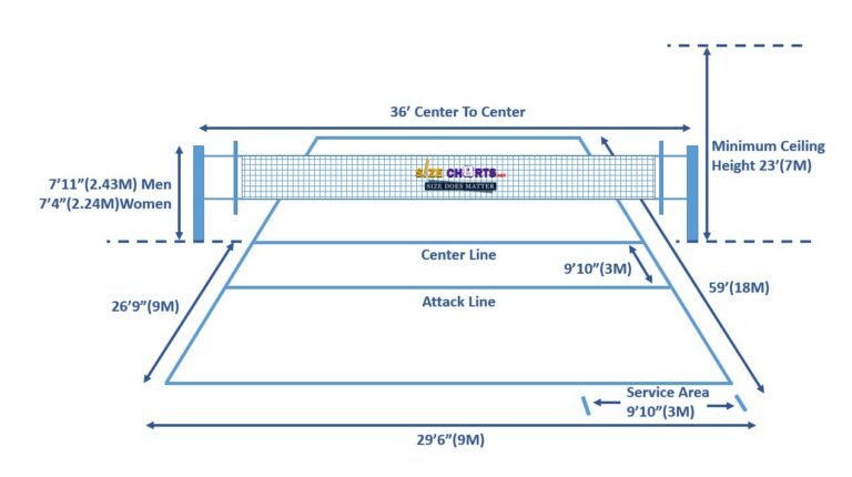 Volleyball Court Measurement With Illustration Guide Net Height