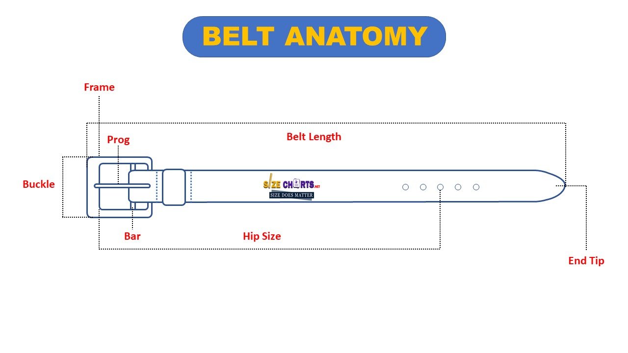 Belt Size Measurements for Men, Women & Kids (Size Chart)