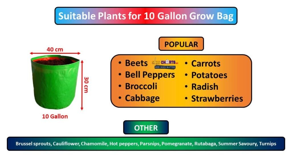 How to Chose The Appropriate Grow Bag Size Chart