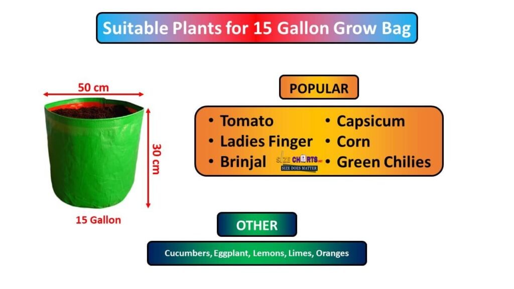 How to Chose The Appropriate Grow Bag Size Chart