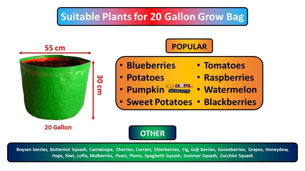 How to Chose The Appropriate Grow Bag Size Chart