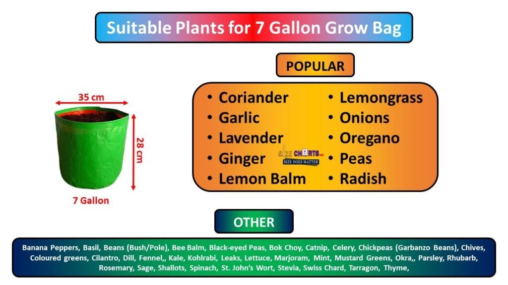 How to Chose The Appropriate Grow Bag Size Chart